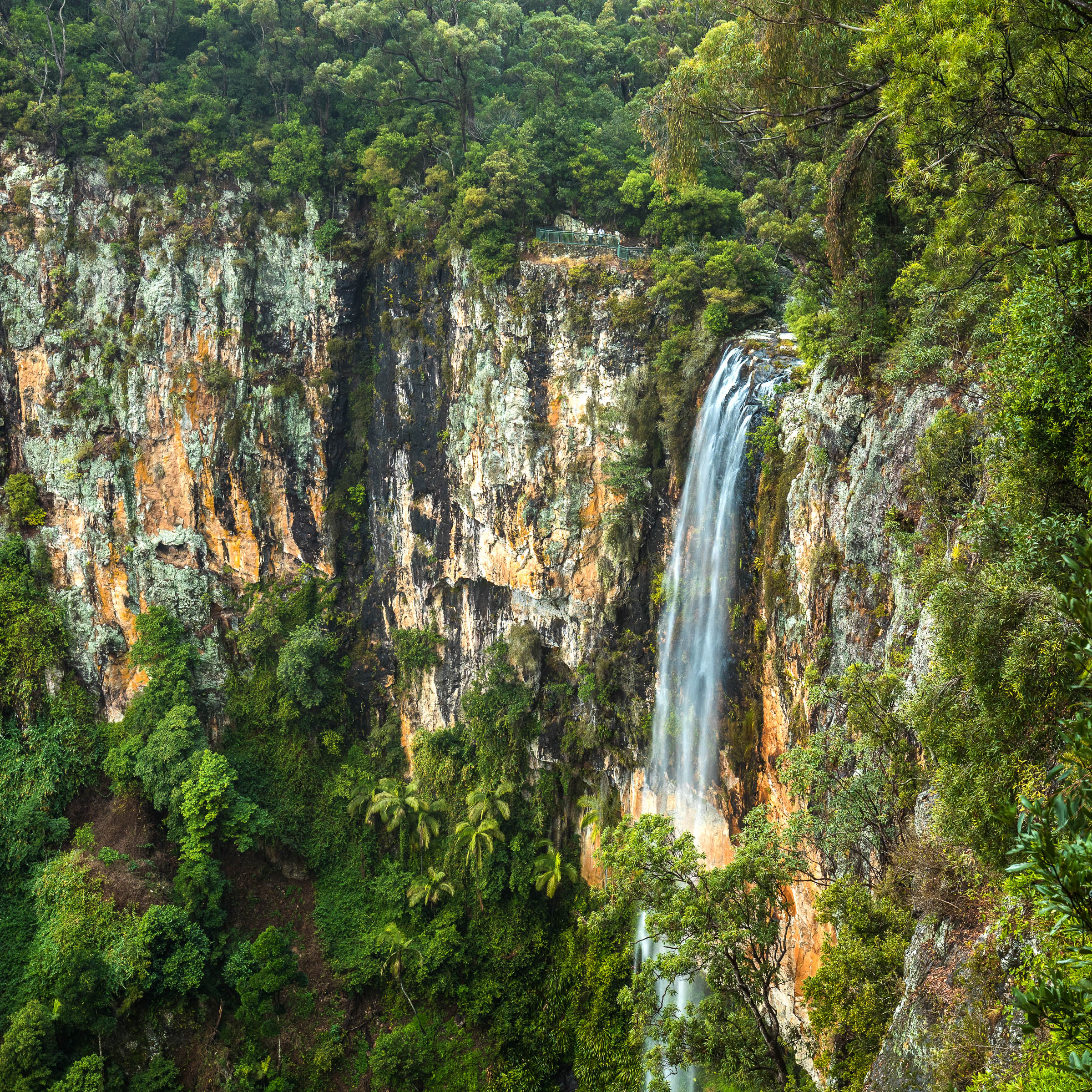 Gold Coast Hinterland, Purling Brook Falls and Lunch at Eagle Heights